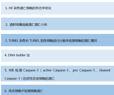 細(xì)胞、組織TUNEL凋亡染色實(shí)驗(yàn)服務(wù)