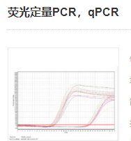 熒光定量PCR，qPCR實驗服務(wù)