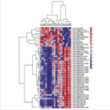 microRNA PCR芯片檢測(cè)服務(wù)